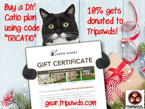 Tripawd cat catio plan