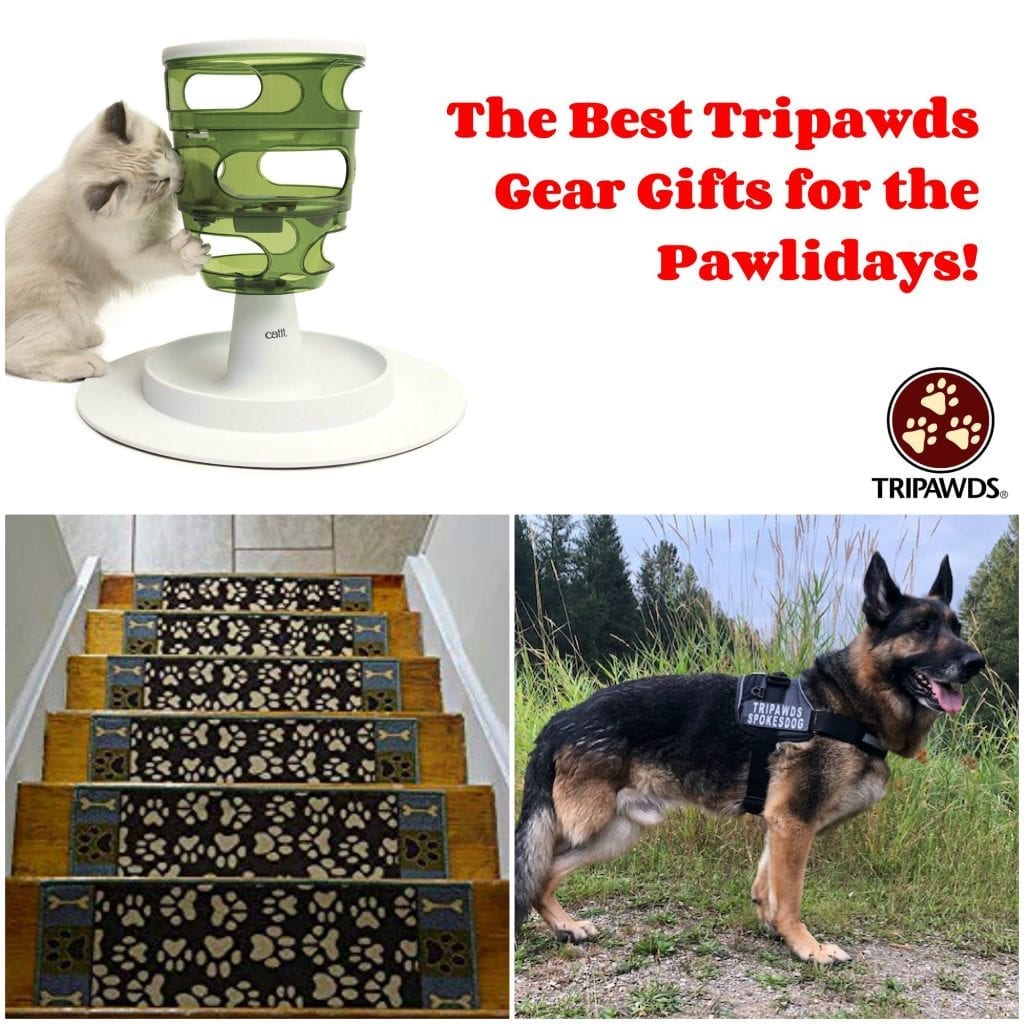 Tripawds gear 2025