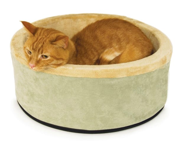 heated cat bed