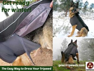 Tripawd sweater,Ruffwear,jacket,coat,winter,fleece,zippered,gear