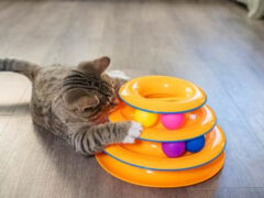 Catstages Tower of Tracks Interactive Cat Toy