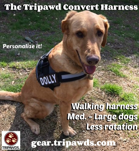 Best Tripawd Harness