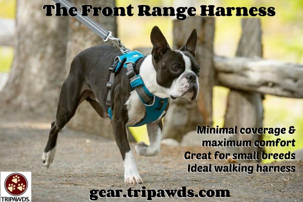 Best Tripawd Harness