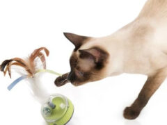 SmartyKat Silly Spinner Electronic Motion & Light Cat Toy,