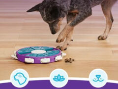 Nina Ottosson by Outward Hound Twister Puzzle Game Dog Toy,