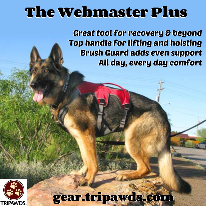 Best Tripawd Harness