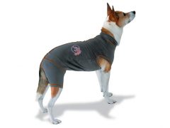 vetgood dog recovery suit