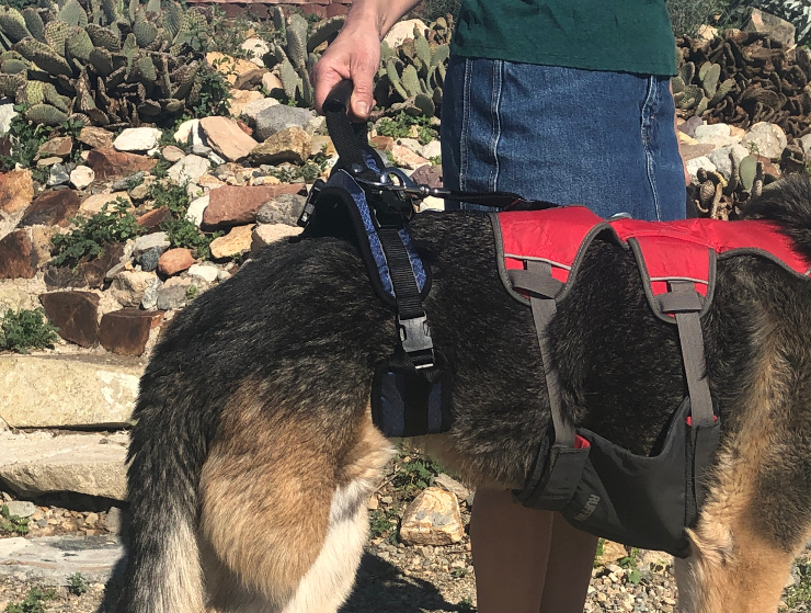 care lift rear end dog lifting harness