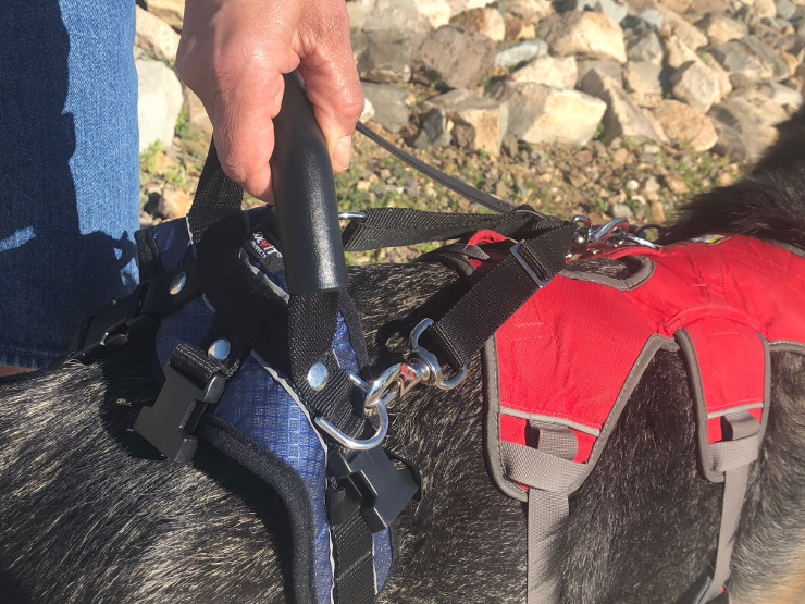 care lift rear end dog lifting harness