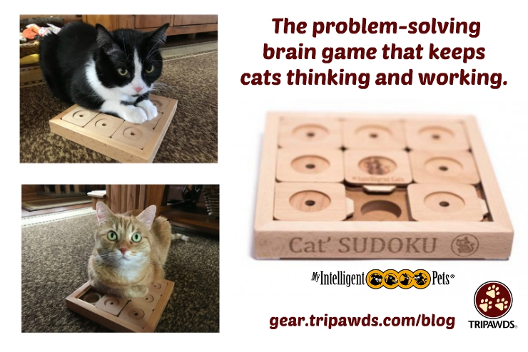 The Cat Brain Game Puzzle for Tripawds and Quadpawds