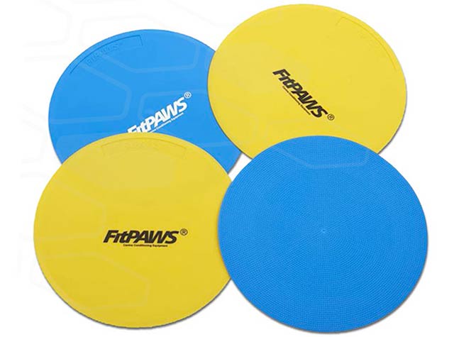 fitpaws training targets