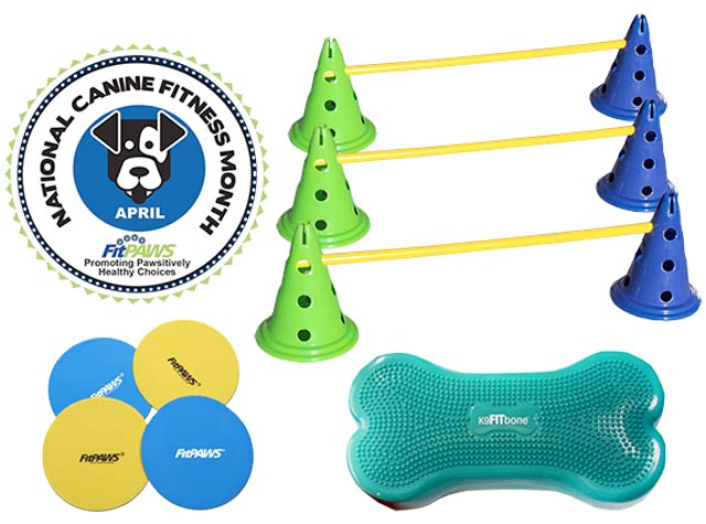 Tripawd target training games