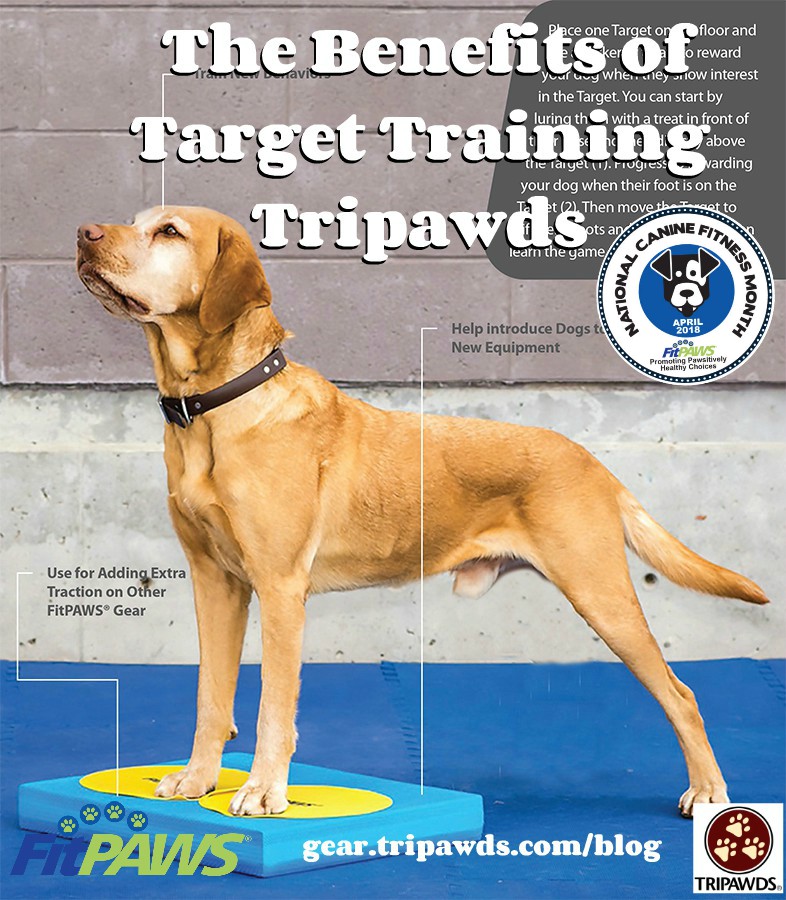 Tripawd target training