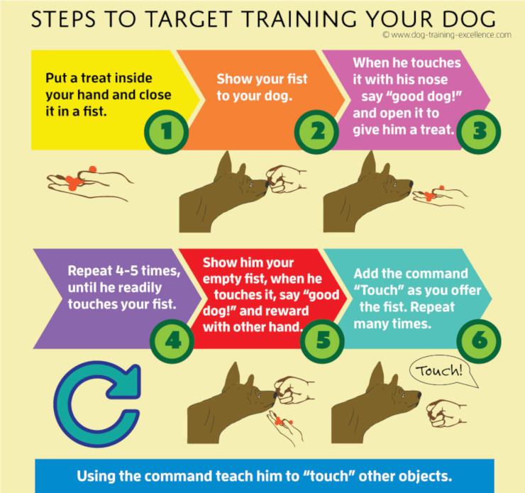 How to Target Train Dogs