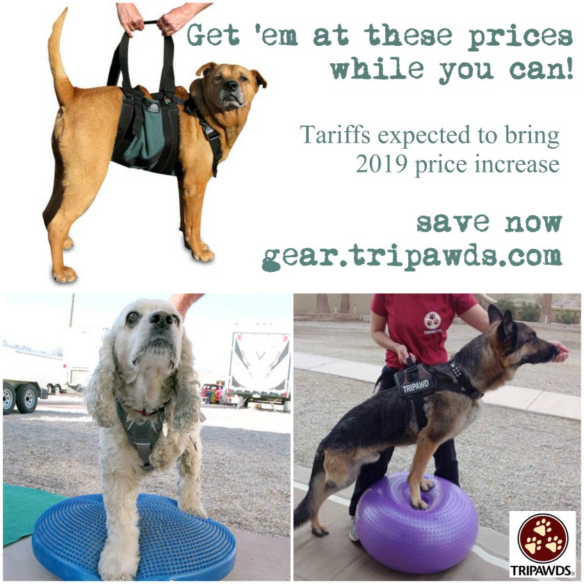 Tripawds gear 2025