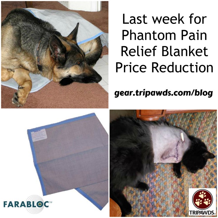 Tripawd Phantom Pain Relief Blanket Sale Ends Next Week - Tripawds Gear