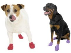 pawz dog boots