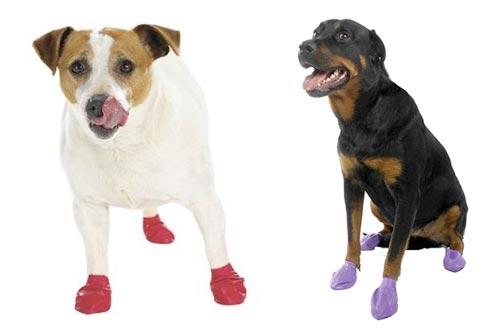 Dog Traction Boots Help Three Legged 