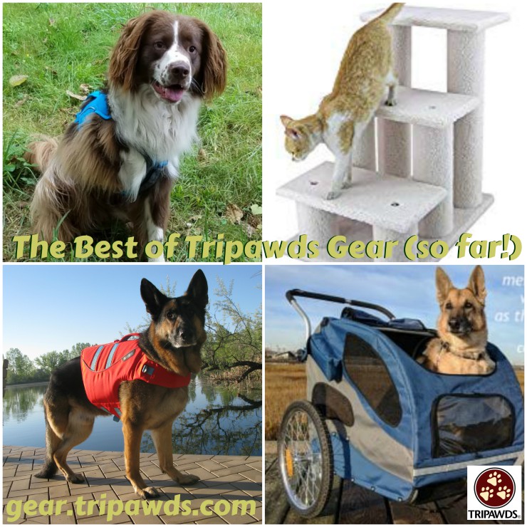 The Best Tripawds Gear List for Three Legged Pets so far