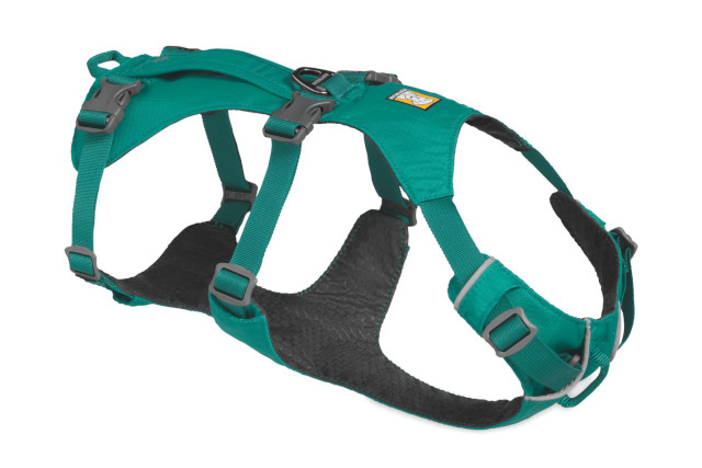 Tripawd Flagline Harness