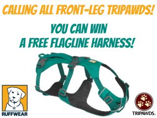 How to win a free Flagline harness
