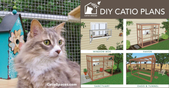 Catio for renters best sale