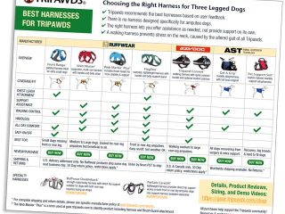 harness chart