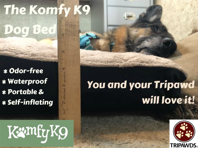 Komfy shop k9 beds