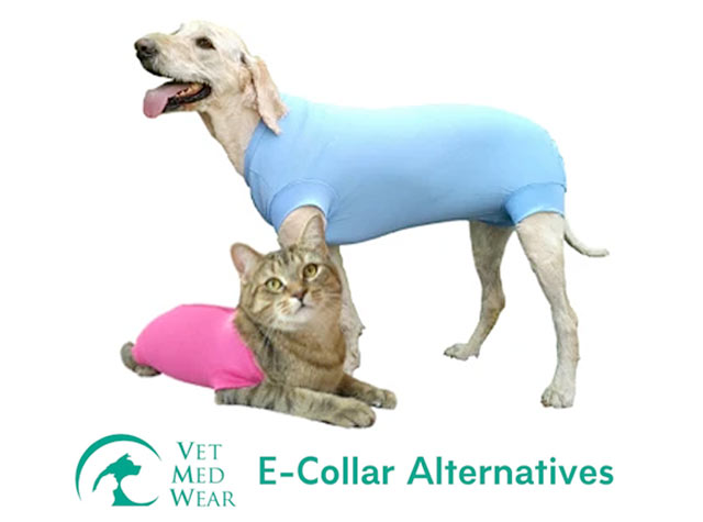 VetMedWear Suit for Amputee Dogs