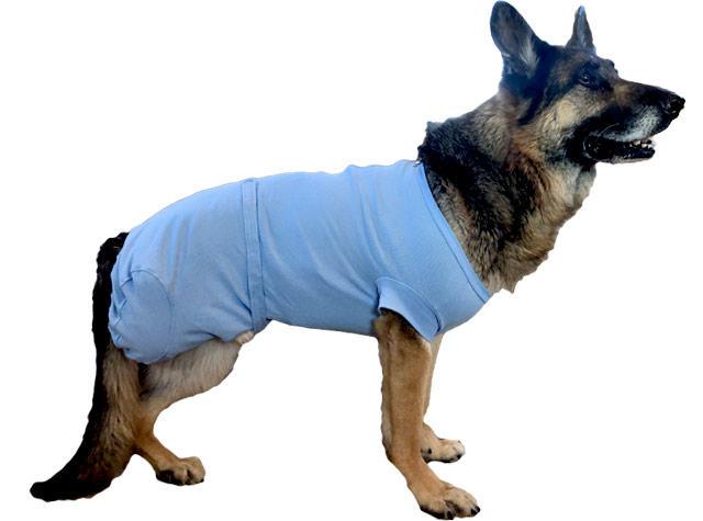 VetMedWear Suit - E-Collar Alternative for Animals