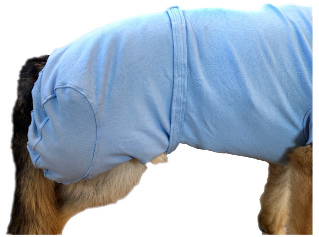 Vet Med Wear Tripawd Recovery Suit