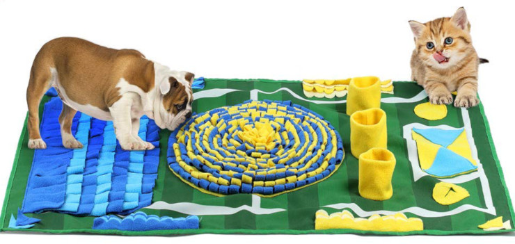 dog and cat brain games