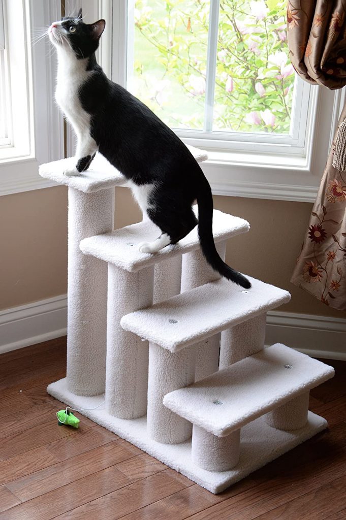 best Tripawd cat stairs
