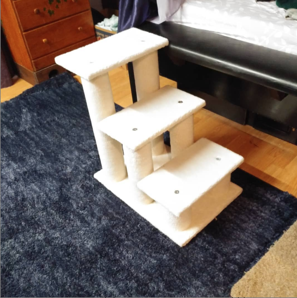 Tripawd cat stairs