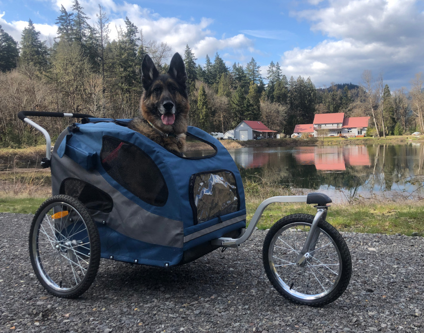 solvit dog stroller