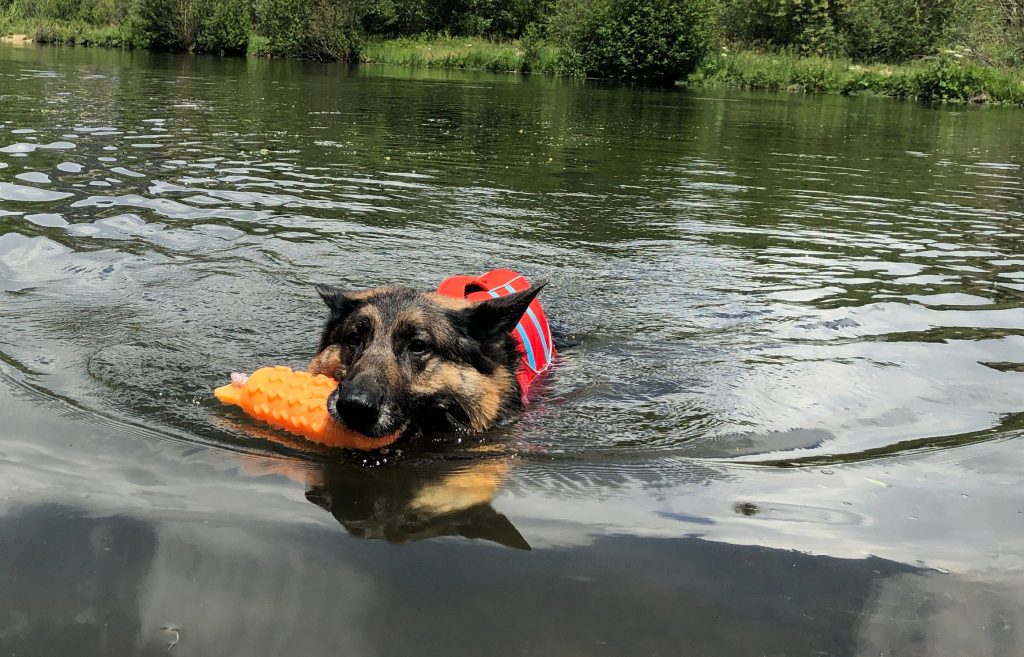 Ruffwear Promo Code Life Jacket