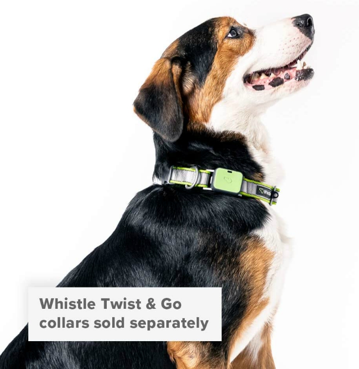 Whistle Twist and Go Pet Fitness Tracker