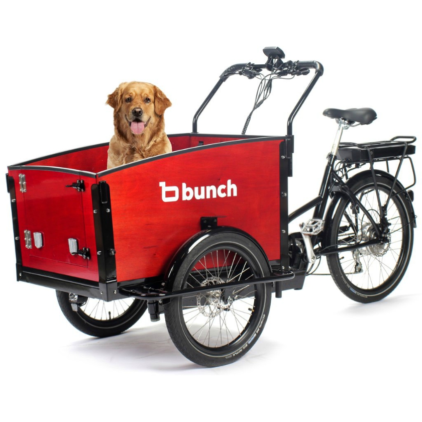 K9 Bunch Bike Dog Bike