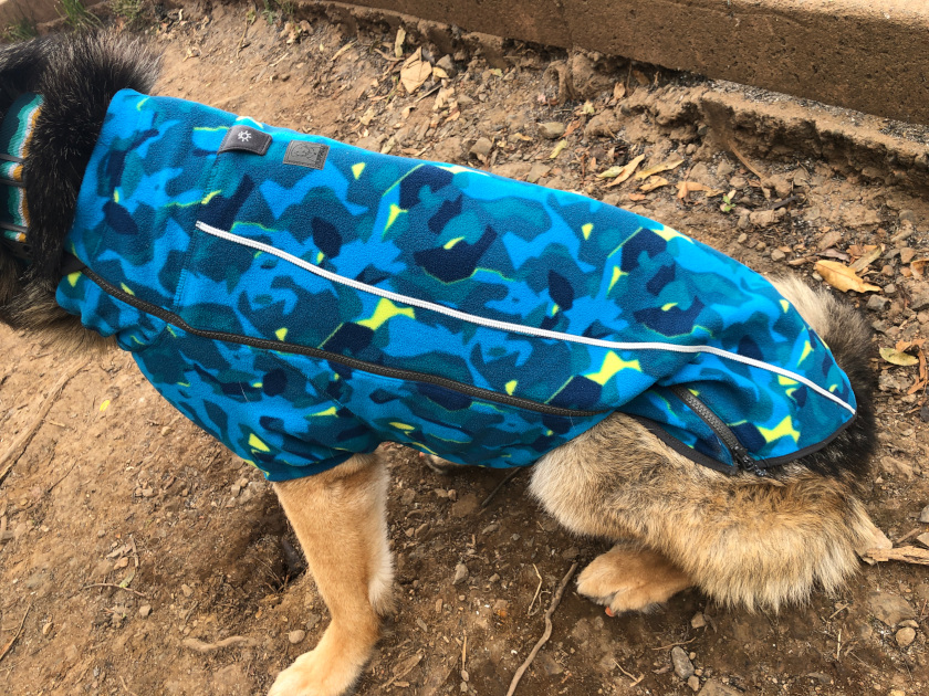 Winter Tripawd Dog Jackets by Ruffwear are Here! - Tripawds Gear