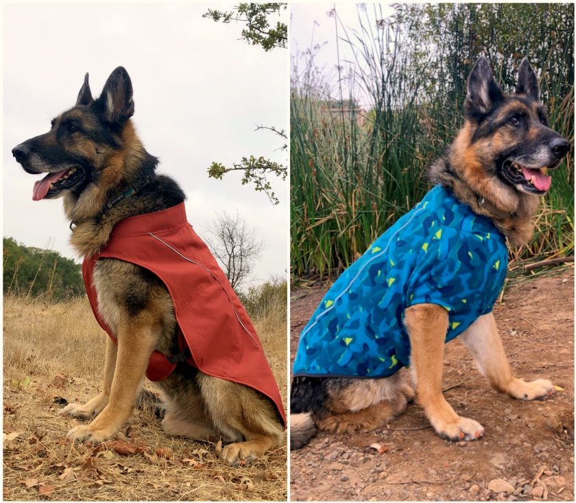 best Tripawd dog jacket