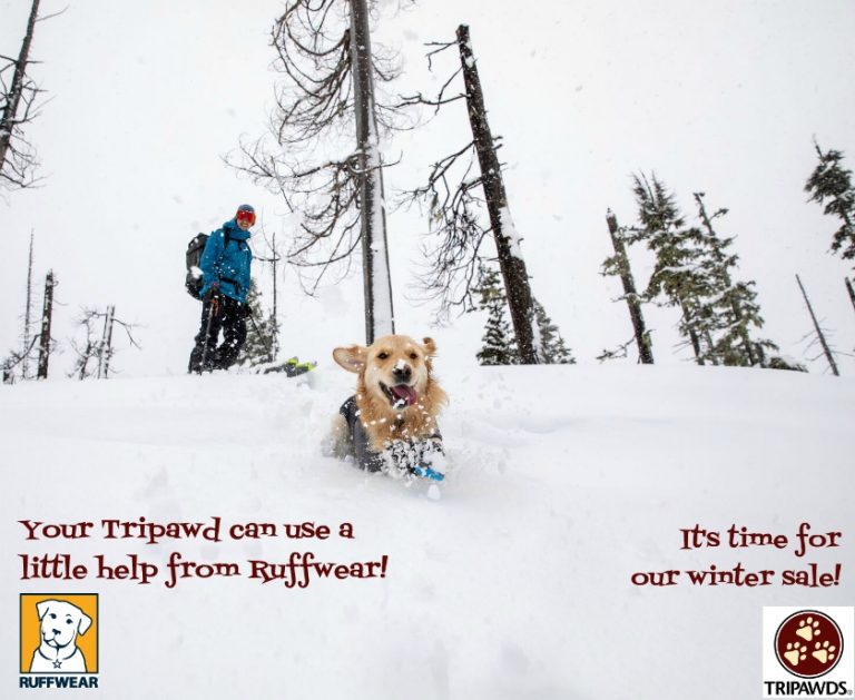 The Ruffwear Dog Coats Sale Starts Friday! Tripawds Gear