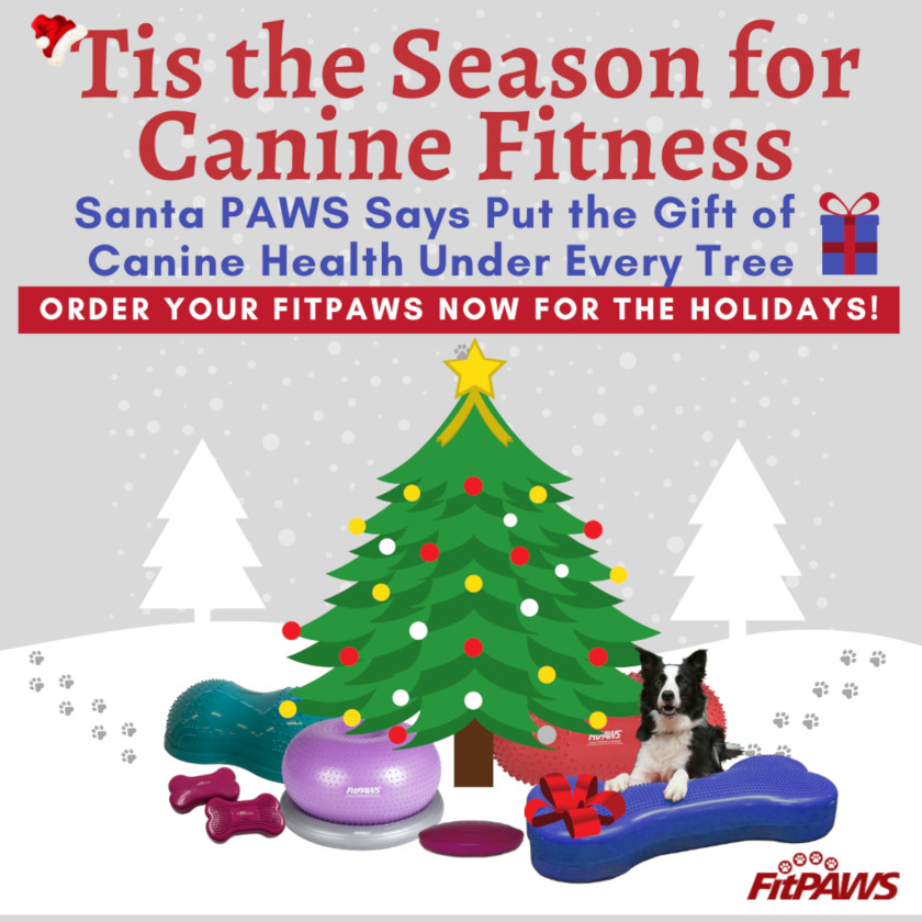 favorite Tripawds exercise gear