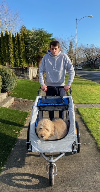 Aosom Dog Stroller