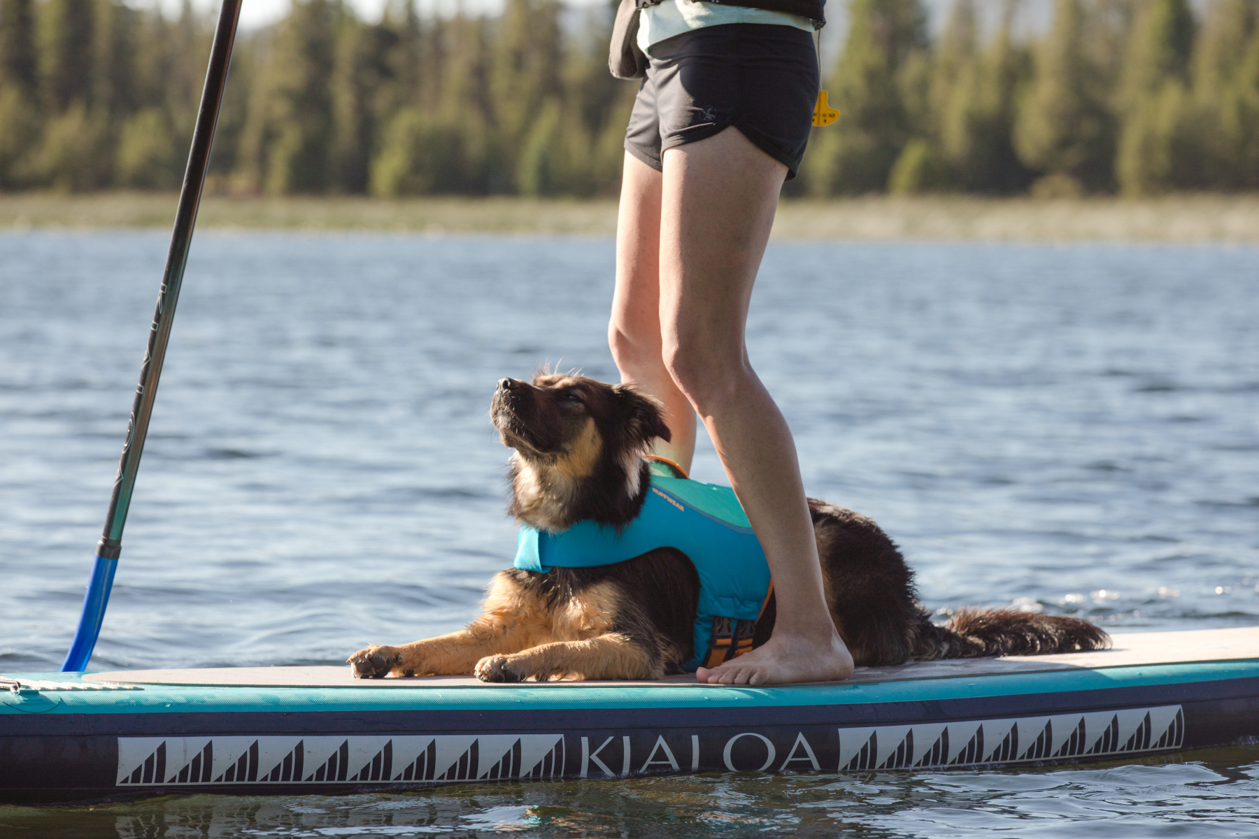 2021 Float Coat Kayak Paddleboard Dog