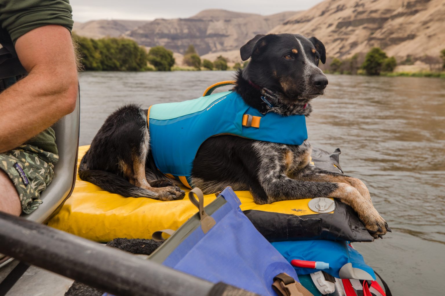 Get Ruffwear Float Coat Dog Life Vest to Help Three Legged Dog Swim