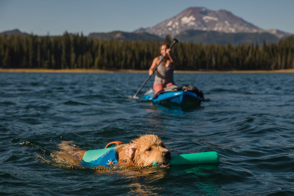 2021 Float Coat Swimming Dog