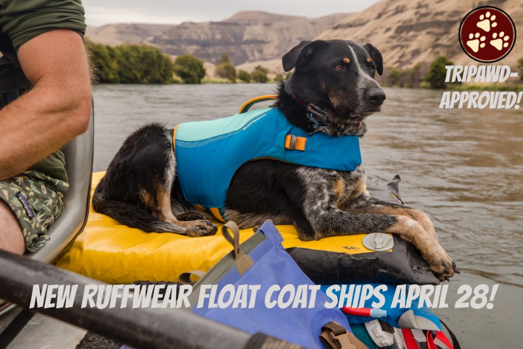 Best Life Jacket for Tripawd Dogs