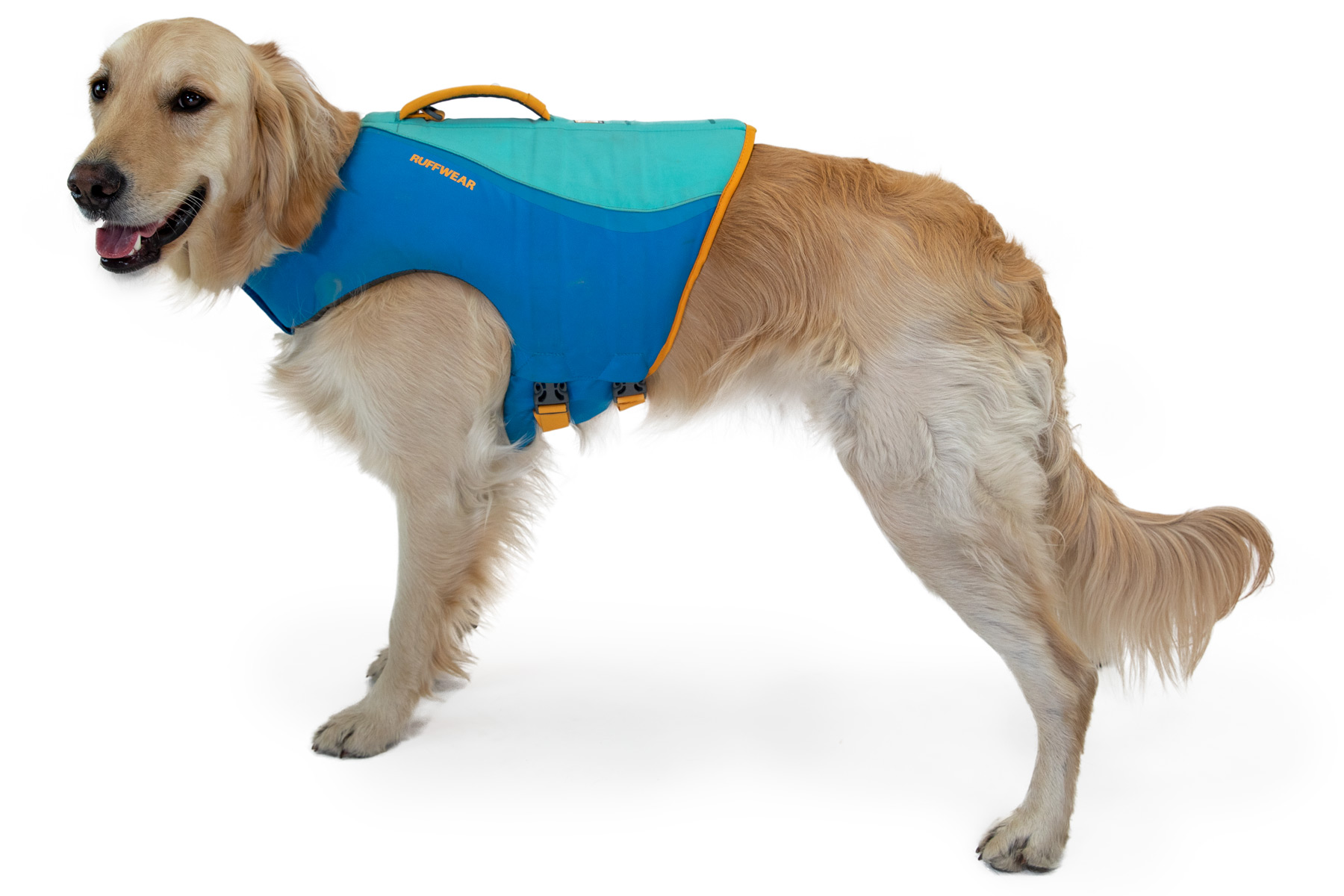 Best life jacket for Tripawd dogs