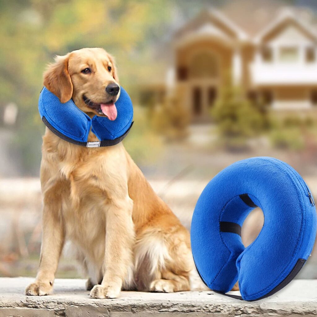 inflatable e-collar for dogs