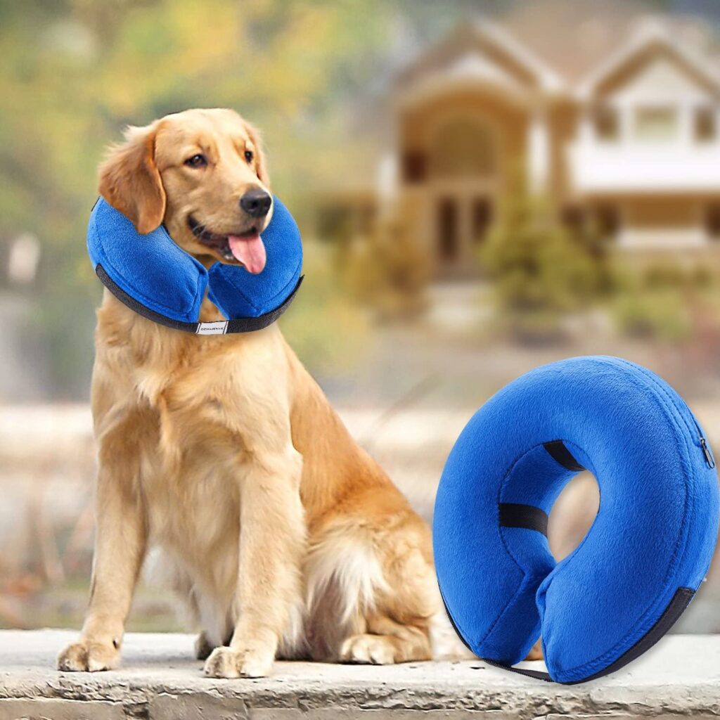 Top Three Pet Recovery Cone Alternatives for Tripawds - Tripawds Gear